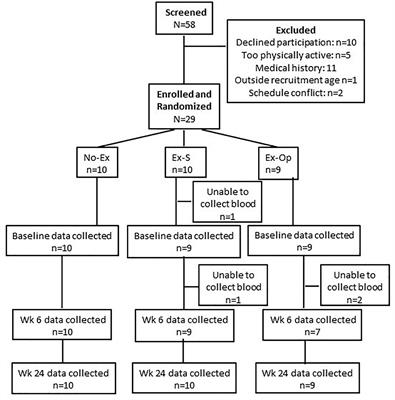 No Effect of Acute Eccentric Resistance Exercise on Immune Responses to Influenza Vaccination in Older Adults: A Randomized Control Trial